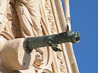 Reims - Cathedrale - Gargouille, Animal